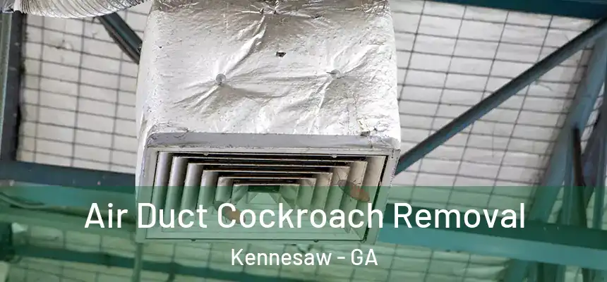  Air Duct Cockroach Removal Kennesaw - GA