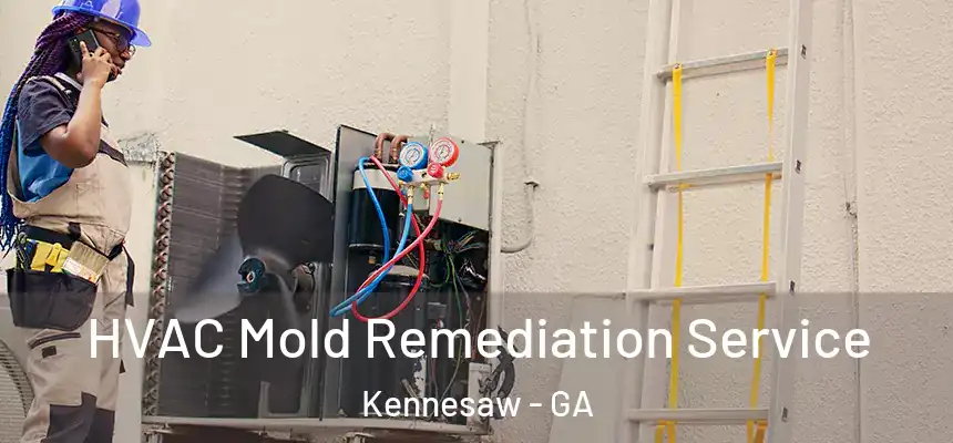  HVAC Mold Remediation Service Kennesaw - GA