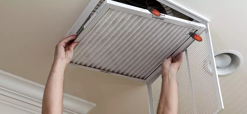 Our Insect Removal from Air Ducts Services in Kennesaw, GA