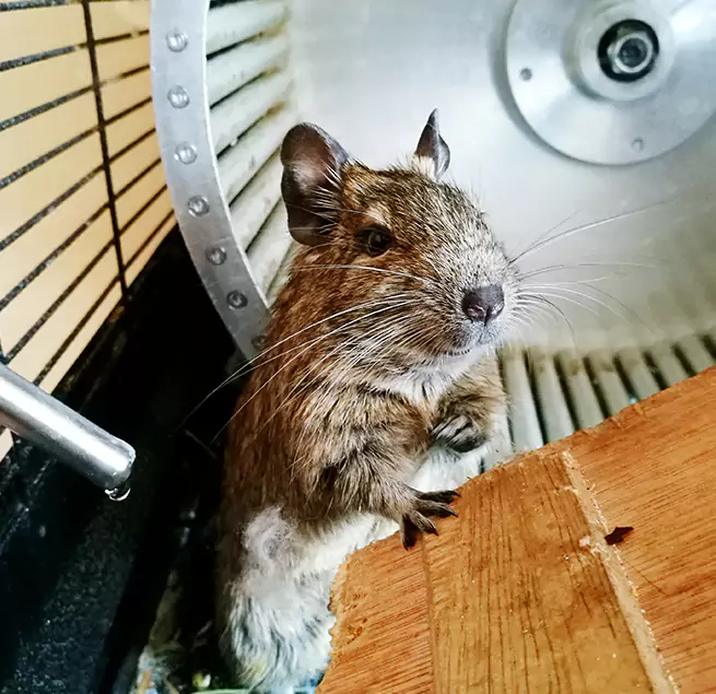 Why Homeowners & Businesses Trust Us Kennesaw, GA