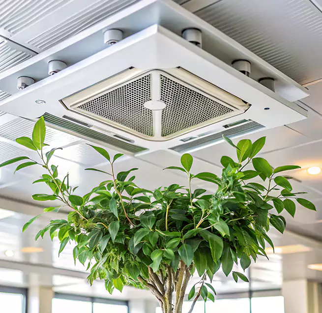 Why Homeowners & Businesses Trust Us in Kennesaw, GA?