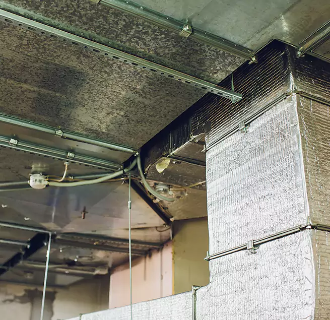 Why Homeowners & Businesses Trust Us in Kennesaw, GA?